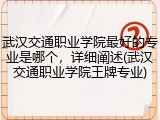 武汉交通职业学院最好的专业是哪个，详细阐述(武汉交通职业学院王牌专业)