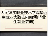 大同煤炭职业技术学院毕业生就业大致去向如何(毕业生就业去向)