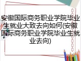 安徽国际商务职业学院毕业生就业大致去向如何(安徽国际商务职业学院毕业生就业去向)