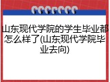 山东现代学院的学生毕业都怎么样了(山东现代学院毕业去向)