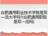 合肥通用职业技术学院是双一流大学吗?(合肥通用职院是双一流吗)