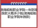 渤海船舶职业学院一年财政拨款大概多少钱(渤海船舶职业学院年拨款)
