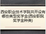 西安职业技术学院共开设有哪些类型奖学金(西安职院奖学金种类)
