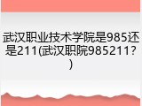 武汉职业技术学院是985还是211(武汉职院985211？)