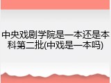 中央戏剧学院是一本还是本科第二批(中戏是一本吗)