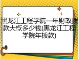 黑龙江工程学院一年财政拨款大概多少钱(黑龙江工程学院年拨款)
