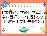 山东财经大学燕山学院什么专业最好，一年招多少人(山财燕山学院专业招生)