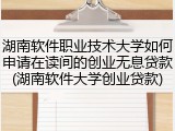 湖南软件职业技术大学如何申请在读间的创业无息贷款(湖南软件大学创业贷款)
