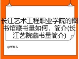 长江艺术工程职业学院的图书馆藏书量如何，简介(长江艺院藏书量简介)