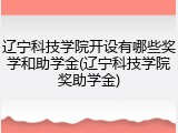 辽宁科技学院开设有哪些奖学和助学金(辽宁科技学院奖助学金)