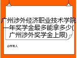 广州涉外经济职业技术学院一年奖学金最多能拿多少(广州涉外奖学金上限)