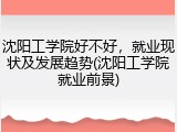 沈阳工学院好不好，就业现状及发展趋势(沈阳工学院就业前景)