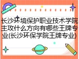 长沙环境保护职业技术学院主攻什么方向有哪些王牌专业(长沙环保学院王牌专业)