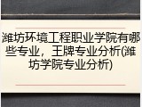 潍坊环境工程职业学院有哪些专业，王牌专业分析(潍坊学院专业分析)
