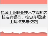 盐城工业职业技术学院知名校友有哪些，校史介绍(盐工院校友与校史)