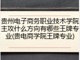 贵州电子商务职业技术学院主攻什么方向有哪些王牌专业(贵电商学院王牌专业)