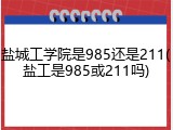 盐城工学院是985还是211(盐工是985或211吗)