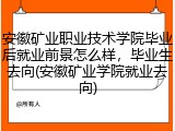 安徽矿业职业技术学院毕业后就业前景怎么样，毕业生去向(安徽矿业学院就业去向)