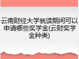 云南财经大学就读期间可以申请哪些奖学金(云财奖学金种类)