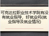 可克达拉职业技术学院有没有就业指导，好就业吗(就业指导及就业情况)