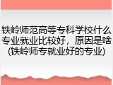 铁岭师范高等专科学校什么专业就业比较好，原因是啥(铁岭师专就业好的专业)