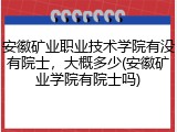 安徽矿业职业技术学院有没有院士，大概多少(安徽矿业学院有院士吗)