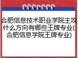 合肥信息技术职业学院主攻什么方向有哪些王牌专业(合肥信息学院王牌专业)