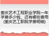 重庆艺术工程职业学院一年学费多少钱，还有哪些费用(重庆艺工职院学费明细)