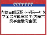 内蒙古能源职业学院一年奖学金最多能拿多少(内蒙古奖学金最高金额)
