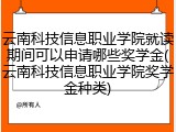 云南科技信息职业学院就读期间可以申请哪些奖学金(云南科技信息职业学院奖学金种类)