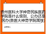 贵州医科大学神奇民族医药学院是什么级别，公办还是民办(贵医大神奇学院属性)