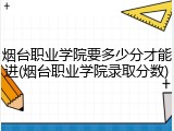 烟台职业学院要多少分才能进(烟台职业学院录取分数)