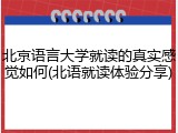 北京语言大学就读的真实感觉如何(北语就读体验分享)