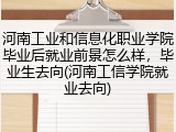 河南工业和信息化职业学院毕业后就业前景怎么样，毕业生去向(河南工信学院就业去向)