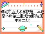 塔城职业技术学院是一本还是本科第二批(塔城职院属本科二批)