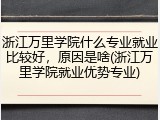 浙江万里学院什么专业就业比较好，原因是啥(浙江万里学院就业优势专业)