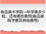 鲁迅美术学院一年学费多少钱，还有哪些费用(鲁迅美院学费及其他费用)