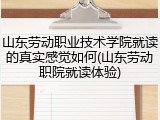 山东劳动职业技术学院就读的真实感觉如何(山东劳动职院就读体验)