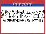 安徽水利水电职业技术学院哪个专业毕业就业前景比较好(安徽水院好就业专业)