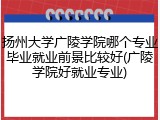 扬州大学广陵学院哪个专业毕业就业前景比较好(广陵学院好就业专业)