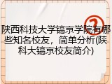 陕西科技大学镐京学院有哪些知名校友，简单分析(陕科大镐京校友简介)