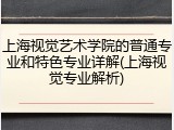 上海视觉艺术学院的普通专业和特色专业详解(上海视觉专业解析)