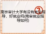 南京审计大学有没有就业指导，好就业吗(南审就业指导如何)