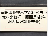 阜阳职业技术学院什么专业就业比较好，原因是啥(阜阳职院好就业专业)