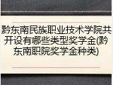 黔东南民族职业技术学院共开设有哪些类型奖学金(黔东南职院奖学金种类)