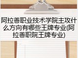 阿拉善职业技术学院主攻什么方向有哪些王牌专业(阿拉善职院王牌专业)
