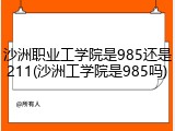 沙洲职业工学院是985还是211(沙洲工学院是985吗)