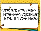 岳阳现代服务职业学院的专业设置概况介绍(岳阳现代服务职业学院专业概况)