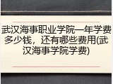 武汉海事职业学院一年学费多少钱，还有哪些费用(武汉海事学院学费)