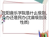 沈阳音乐学院是什么级别，公办还是民办(沈音级别及性质)
